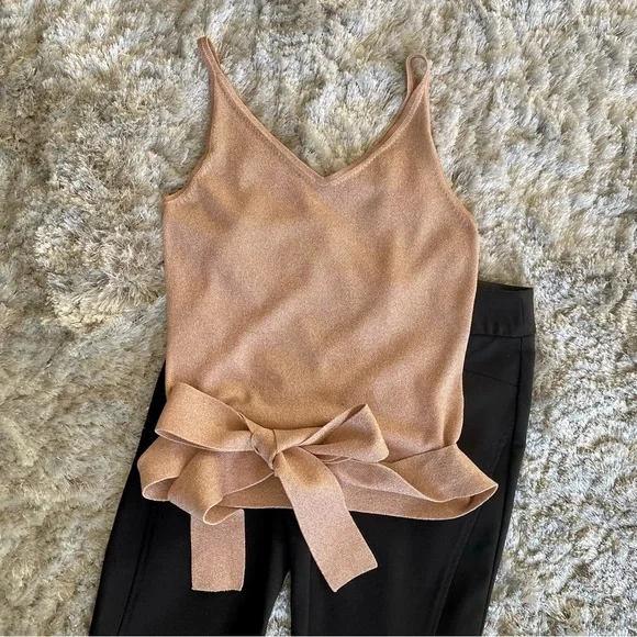 Express Pink Shimmer Sleeveless Top with Tie Size Small - Picture 2 of 7